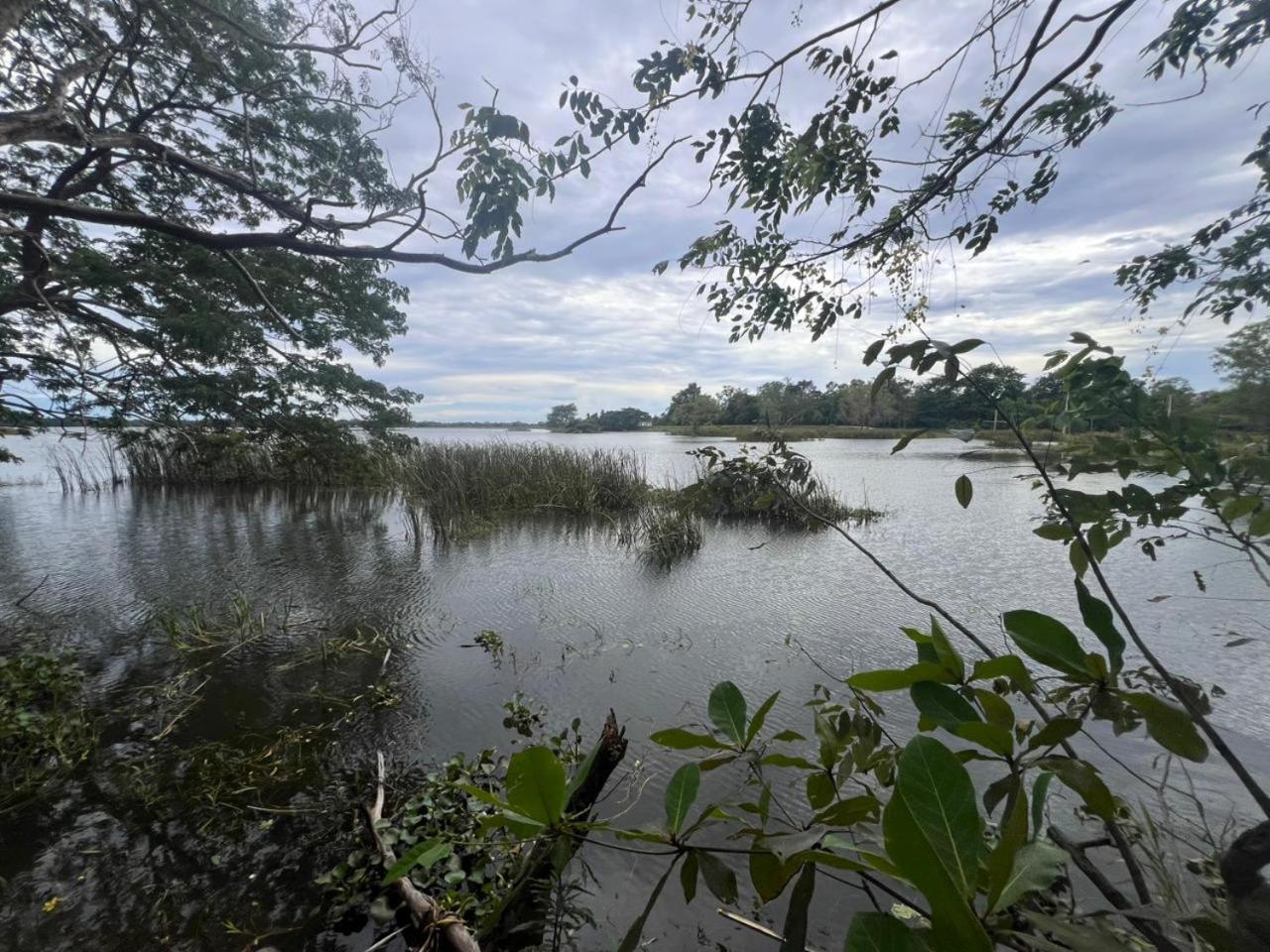 Hotel Sobana Lake Front Udawalawe Eksteriør bilde